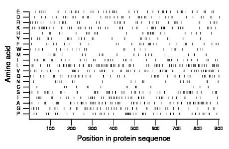 amino acid map