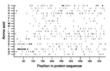 amino acid map