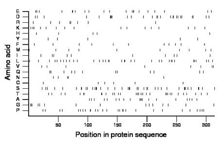 amino acid map