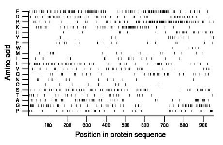 amino acid map