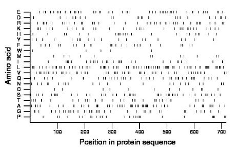 amino acid map