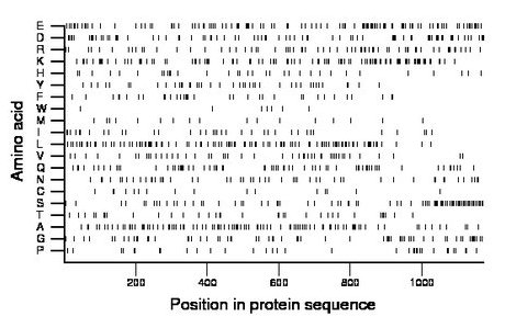 amino acid map