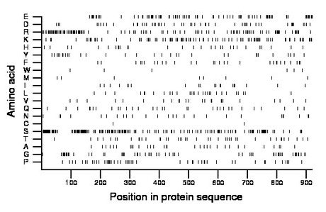 amino acid map