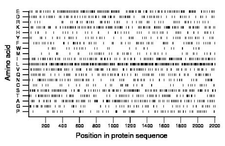 amino acid map