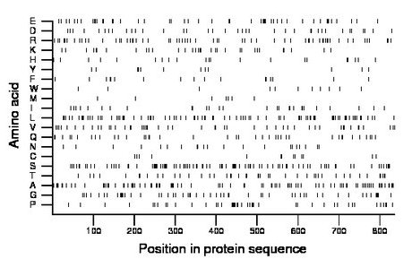 amino acid map