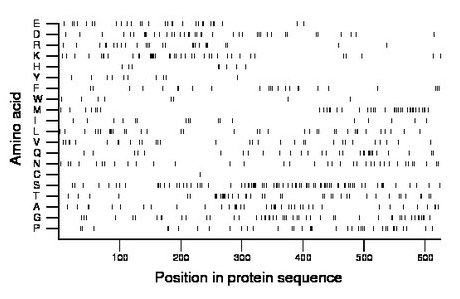 amino acid map