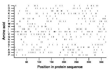 amino acid map