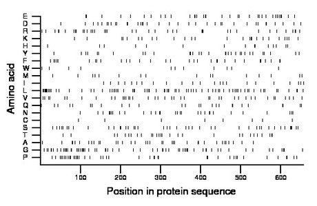 amino acid map