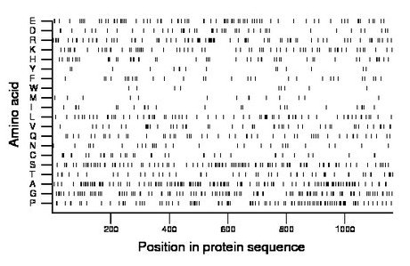 amino acid map