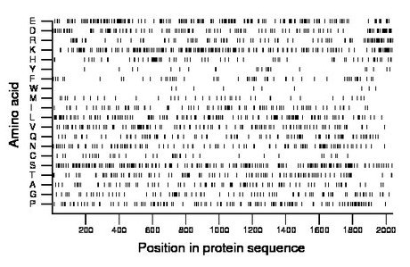 amino acid map