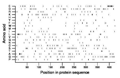 amino acid map