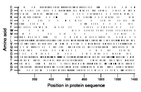 amino acid map