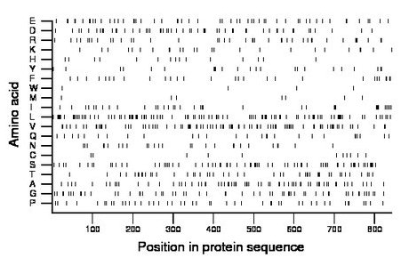 amino acid map