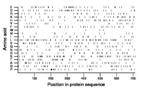 amino acid map