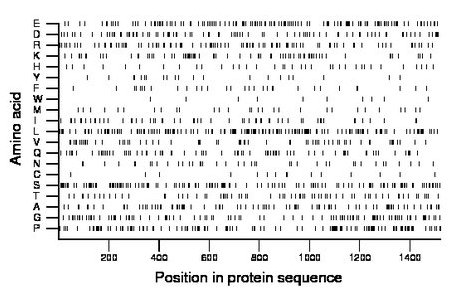 amino acid map