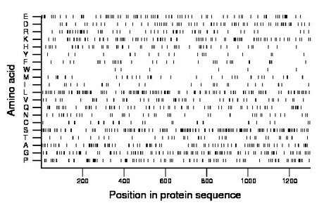 amino acid map