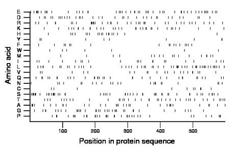 amino acid map