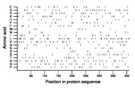 amino acid map