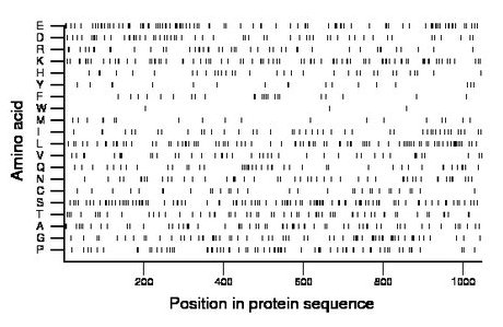 amino acid map