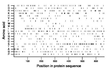 amino acid map