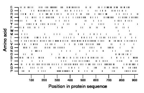 amino acid map