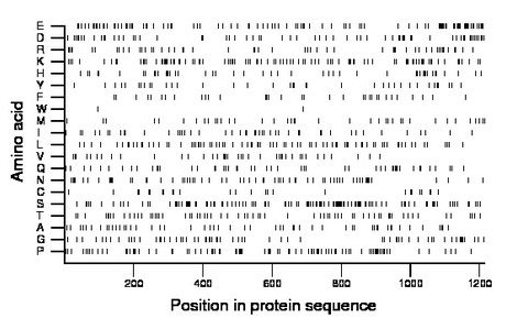 amino acid map