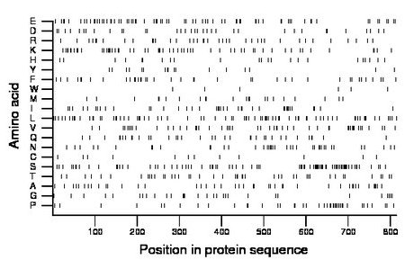 amino acid map