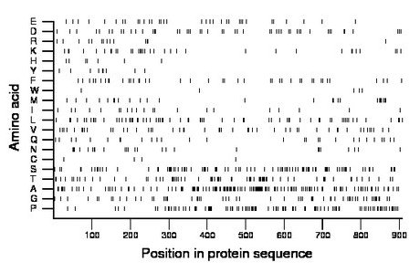 amino acid map