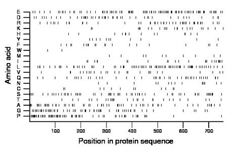 amino acid map