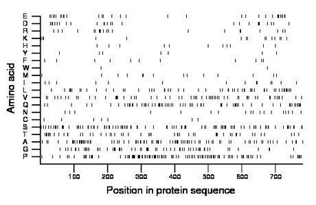 amino acid map