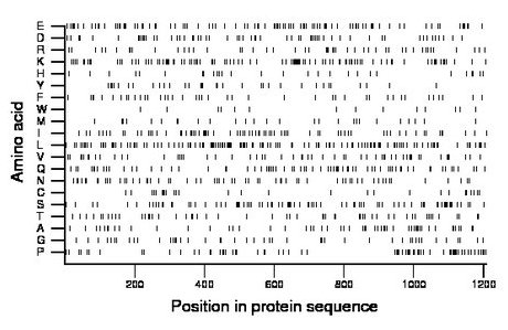 amino acid map