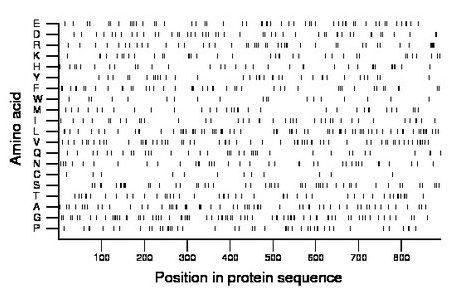 amino acid map