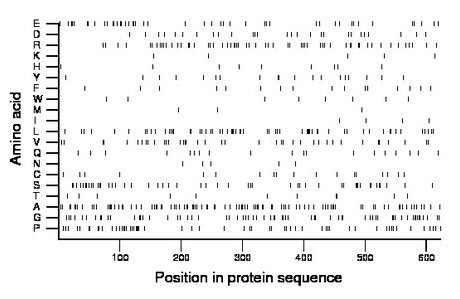 amino acid map