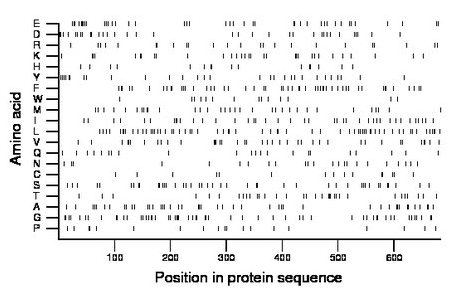 amino acid map