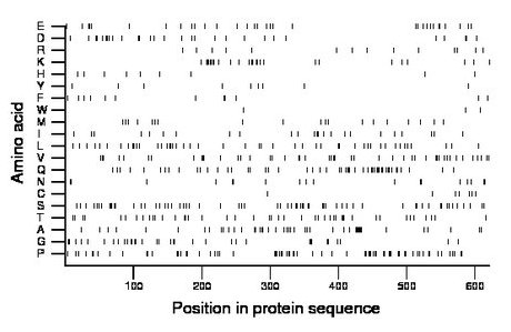 amino acid map