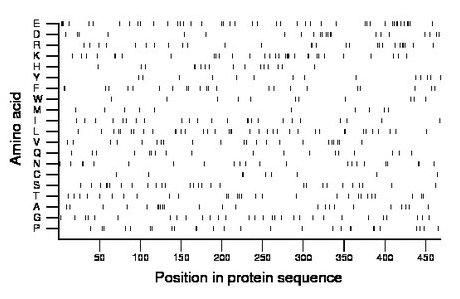 amino acid map