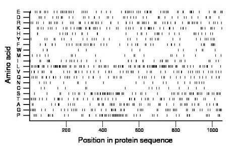 amino acid map