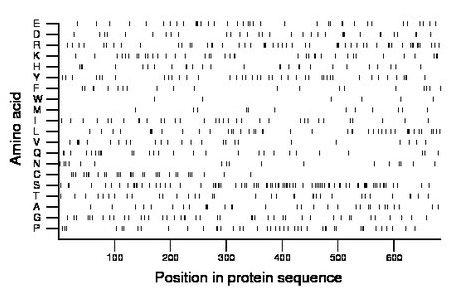 amino acid map