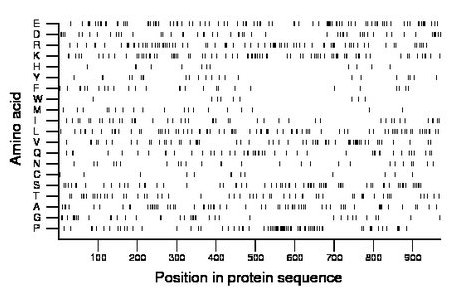 amino acid map