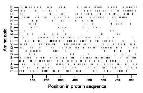 amino acid map