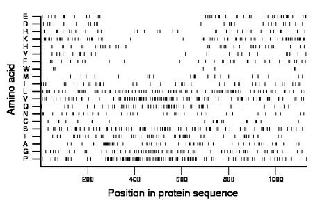 amino acid map