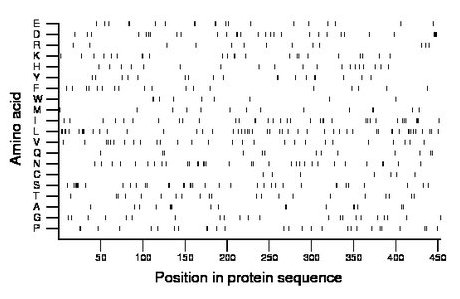 amino acid map