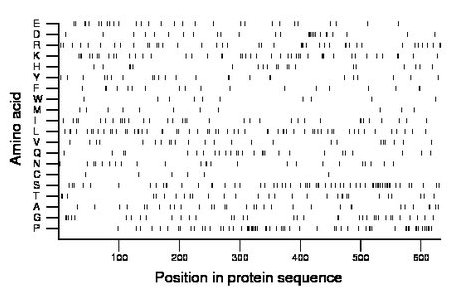 amino acid map