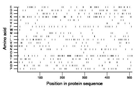 amino acid map