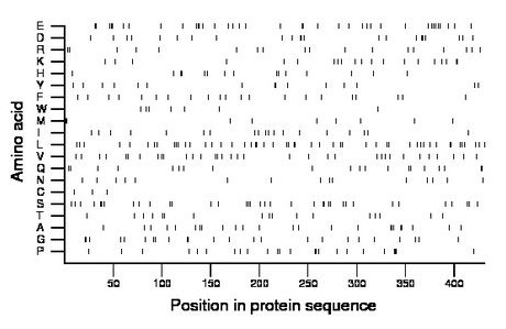 amino acid map