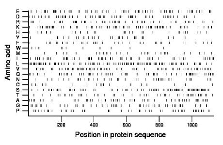 amino acid map