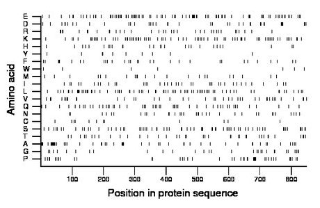 amino acid map