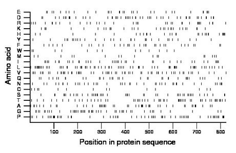 amino acid map