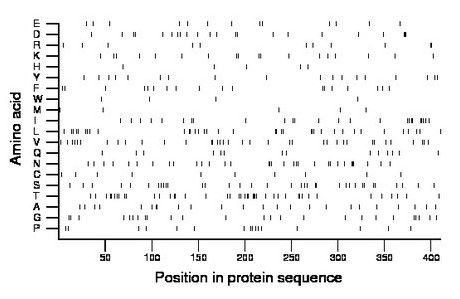 amino acid map