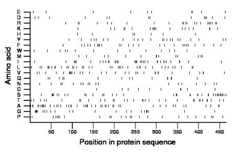 amino acid map